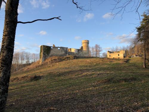 Château de la Faye [19-02-2022](IMG_4438).jpg